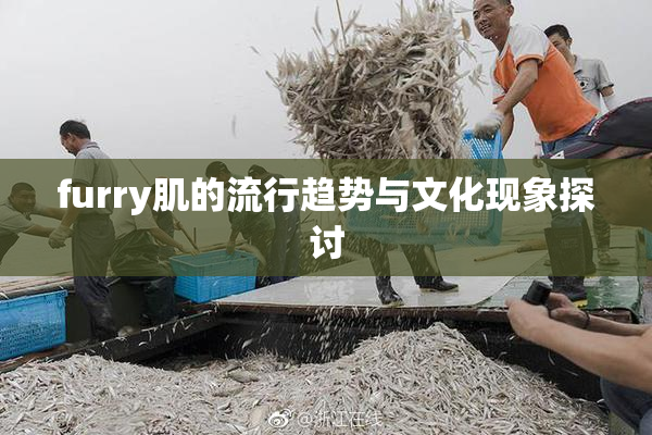furry肌的流行趋势与文化现象探讨