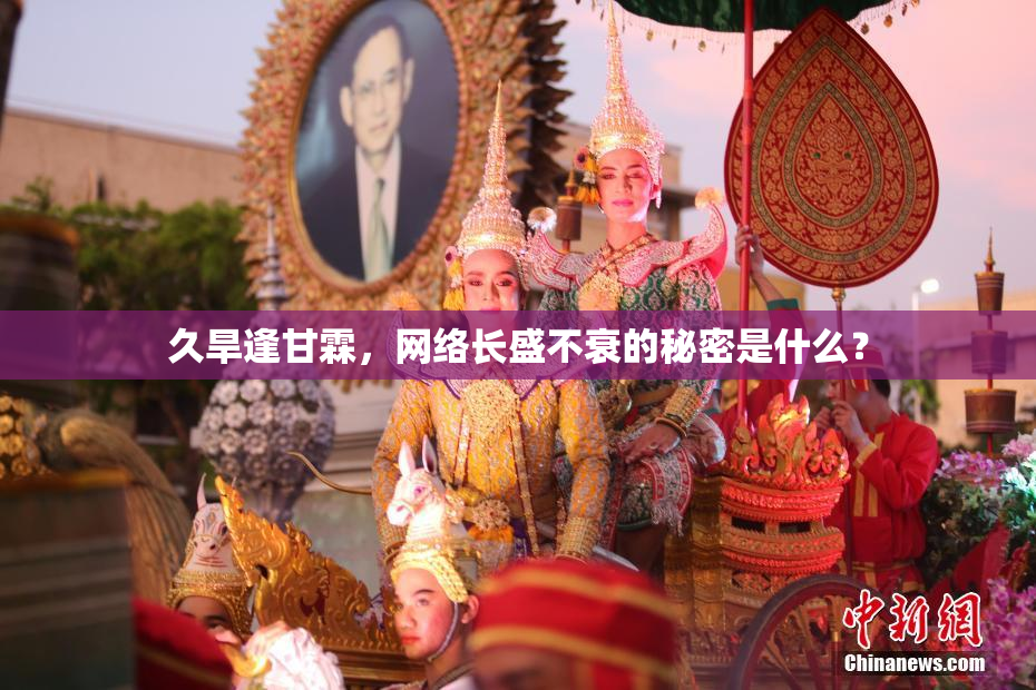 久旱逢甘霖，网络长盛不衰的秘密是什么？