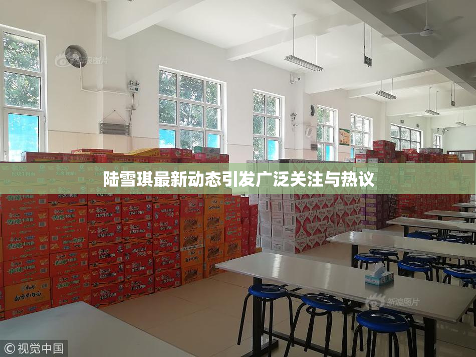 陆雪琪最新动态引发广泛关注与热议