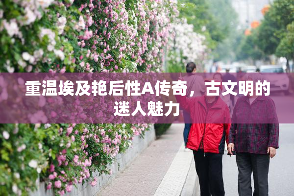 重温埃及艳后性A传奇，古文明的迷人魅力