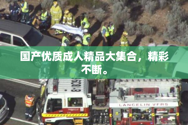 国产优质成人精品大集合，精彩不断。