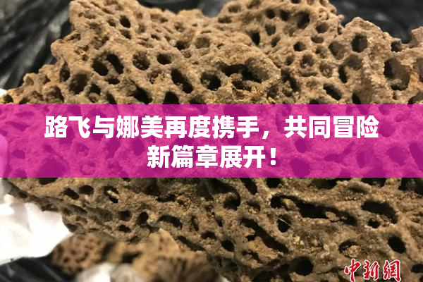 路飞与娜美再度携手，共同冒险新篇章展开！