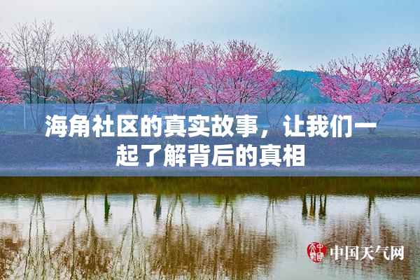 海角社区的真实故事，让我们一起了解背后的真相