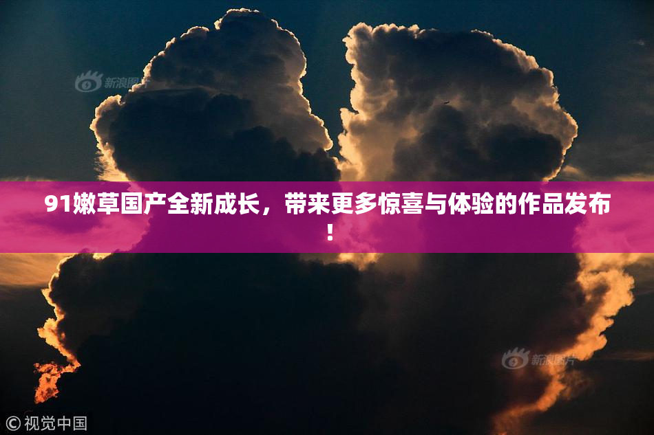 91嫩草国产全新成长，带来更多惊喜与体验的作品发布！