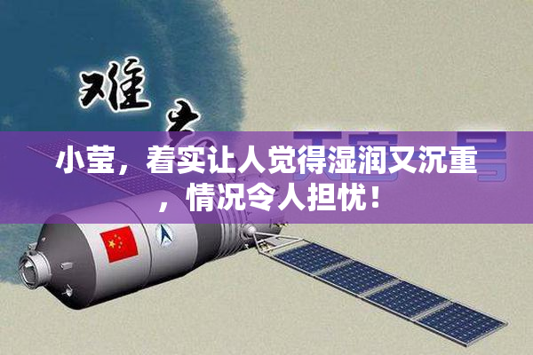 小莹，着实让人觉得湿润又沉重，情况令人担忧！
