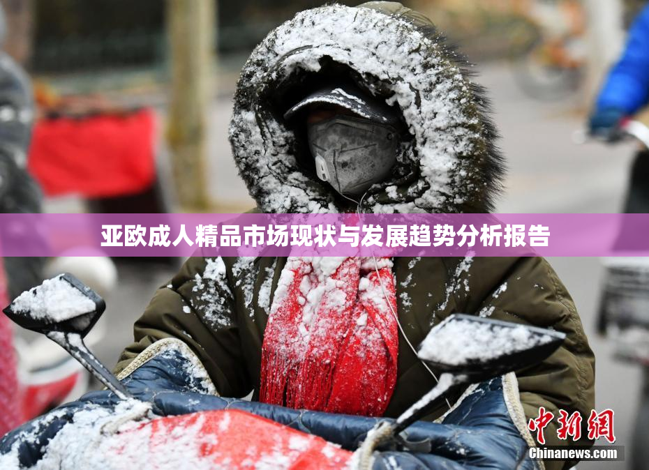 亚欧成人精品市场现状与发展趋势分析报告