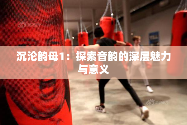 沉沦韵母1：探索音韵的深层魅力与意义