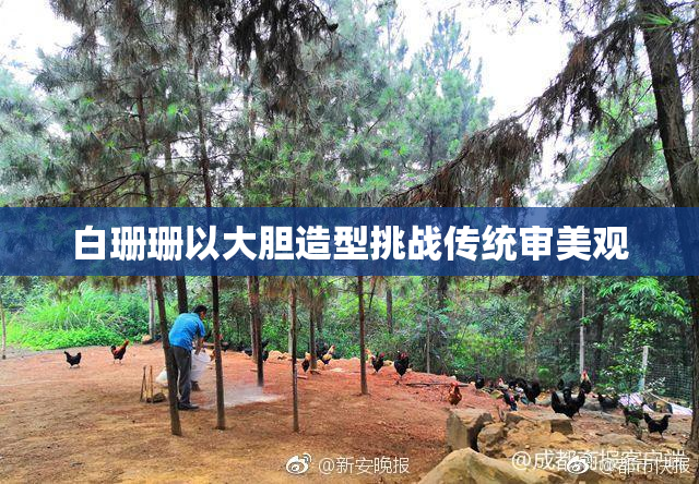 白珊珊以大胆造型挑战传统审美观