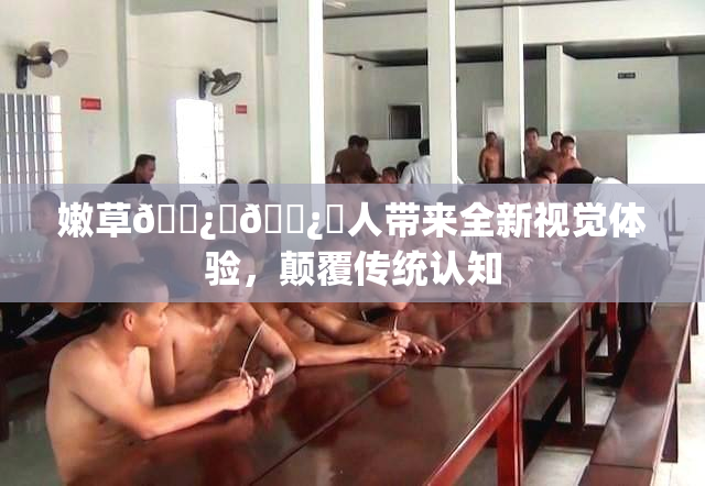 嫩草🌿‌🌿‌人带来全新视觉体验，颠覆传统认知