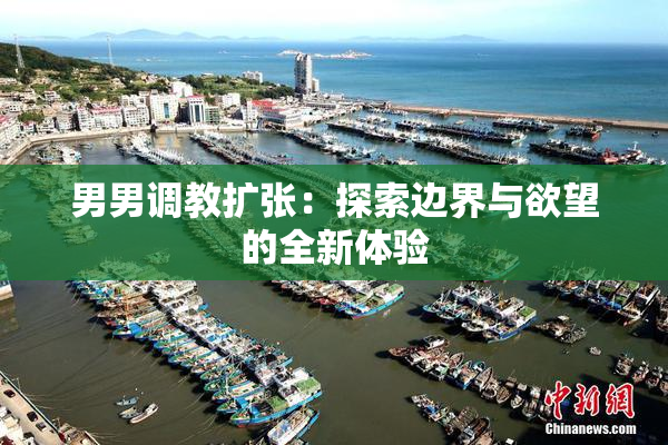 男男调教扩张：探索边界与欲望的全新体验