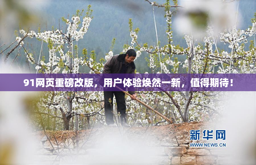 91网页重磅改版，用户体验焕然一新，值得期待！