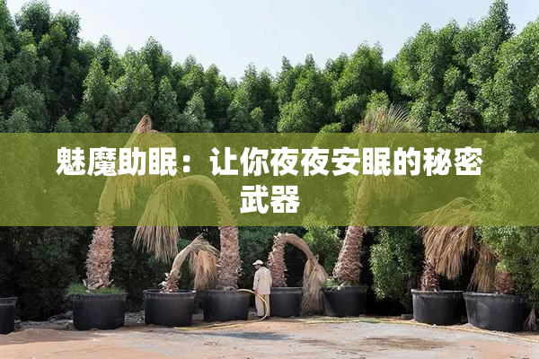 魅魔助眠：让你夜夜安眠的秘密武器