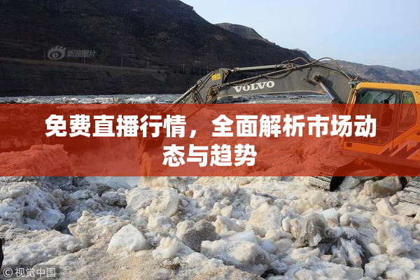 免费直播行情，全面解析市场动态与趋势