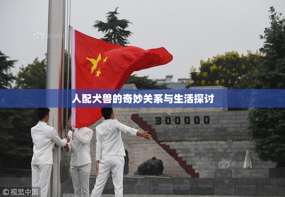 人配犬兽的奇妙关系与生活探讨