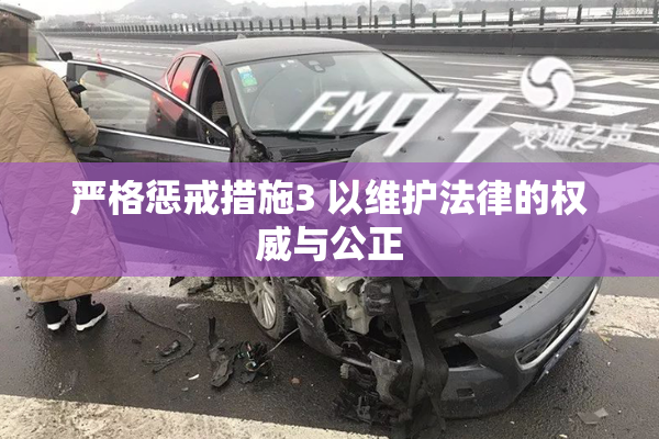 严格惩戒措施3 以维护法律的权威与公正