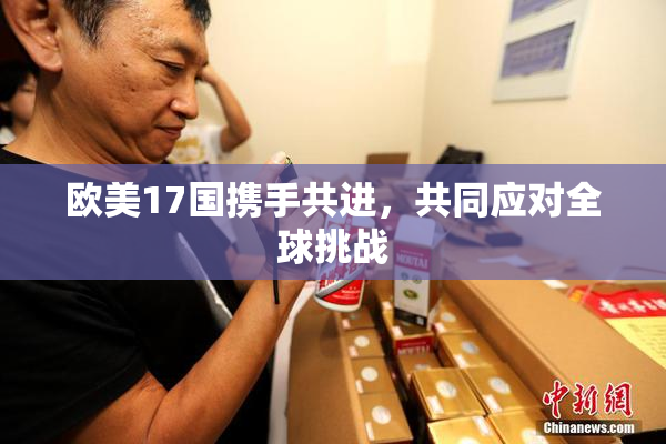 欧美17国携手共进，共同应对全球挑战