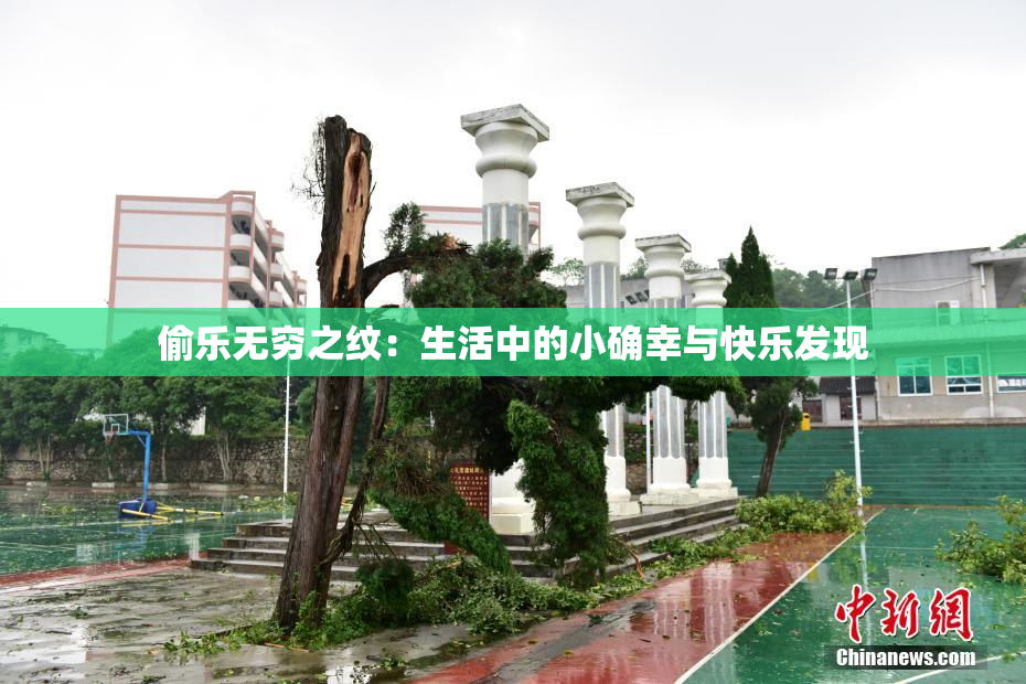 偷乐无穷之纹：生活中的小确幸与快乐发现
