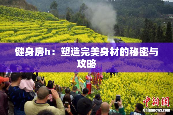 健身房h：塑造完美身材的秘密与攻略