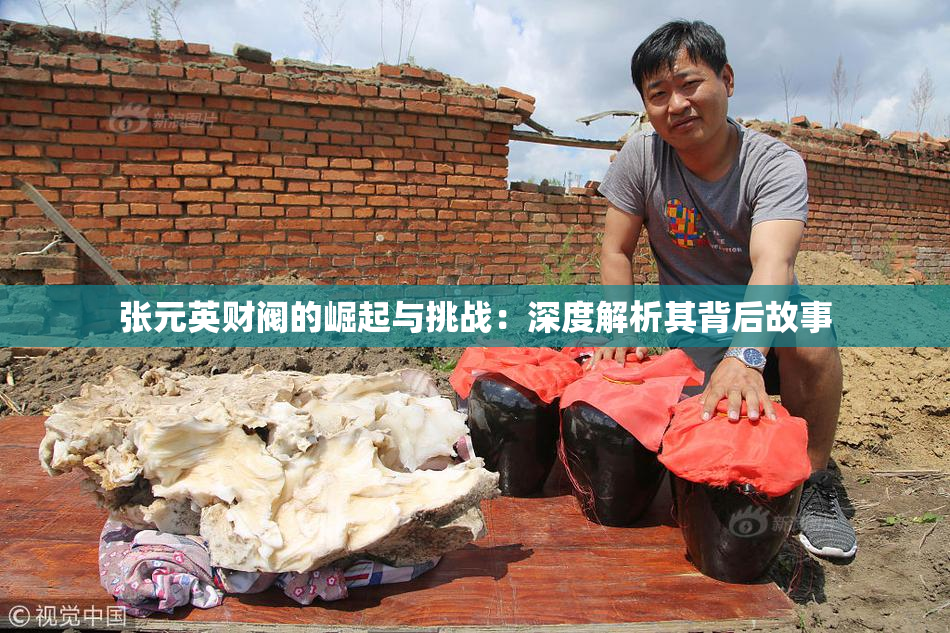 张元英财阀的崛起与挑战：深度解析其背后故事