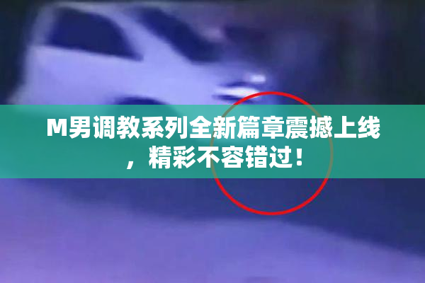 M男调教系列全新篇章震撼上线，精彩不容错过！