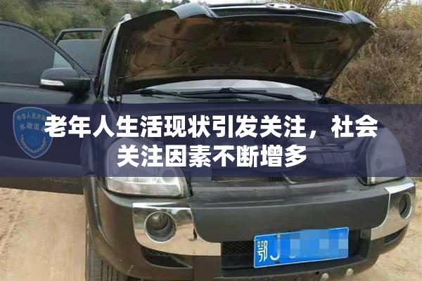 老年人生活现状引发关注，社会关注因素不断增多