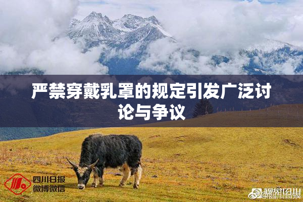 严禁穿戴乳罩的规定引发广泛讨论与争议