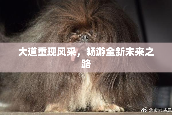 大道重现风采，畅游全新未来之路