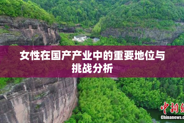 女性在国产产业中的重要地位与挑战分析