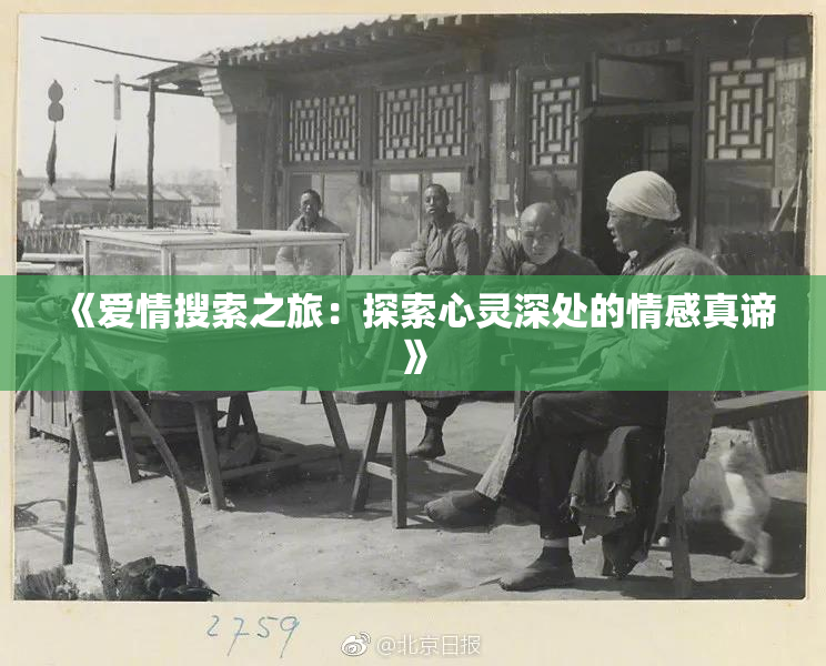 《爱情搜索之旅：探索心灵深处的情感真谛》