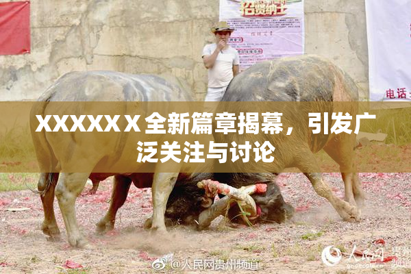 XXXXXⅩ全新篇章揭幕，引发广泛关注与讨论