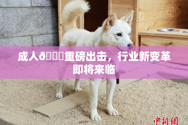 成人🔞重磅出击，行业新变革即将来临