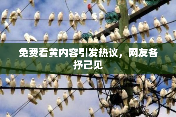免费看黄内容引发热议，网友各抒己见
