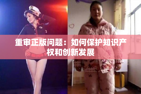 重审正版问题：如何保护知识产权和创新发展