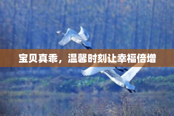 宝贝真乖，温馨时刻让幸福倍增