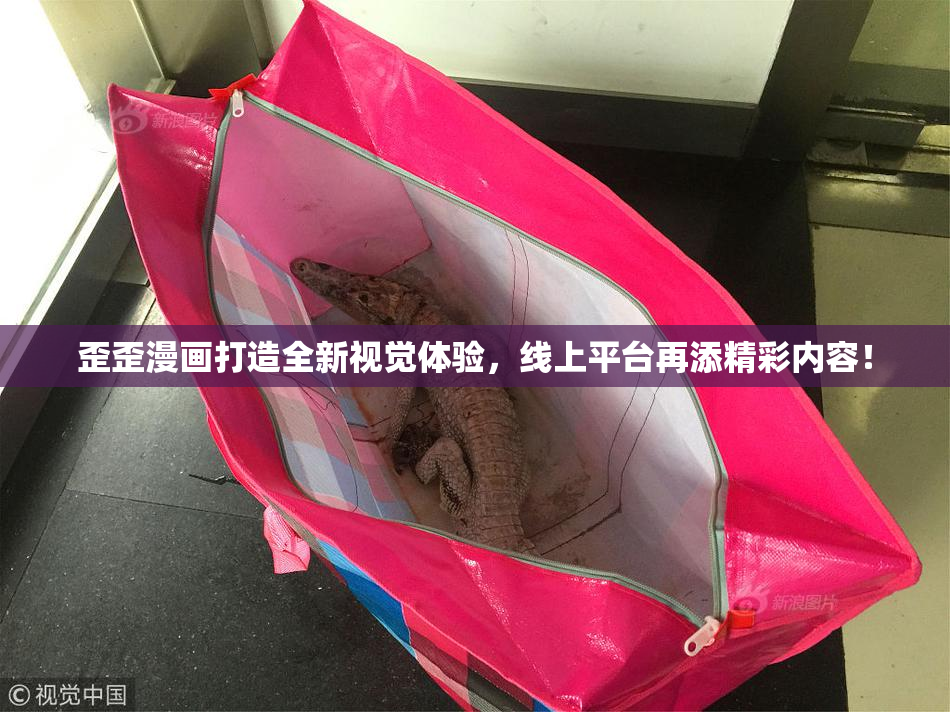 歪歪漫画打造全新视觉体验，线上平台再添精彩内容！