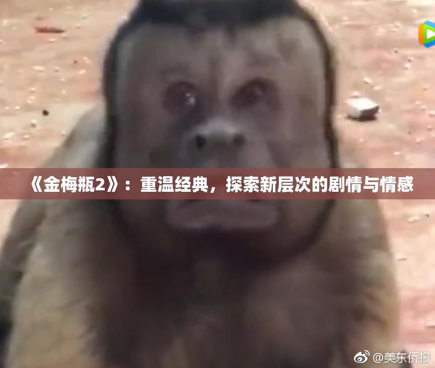 《金梅瓶2》：重温经典，探索新层次的剧情与情感
