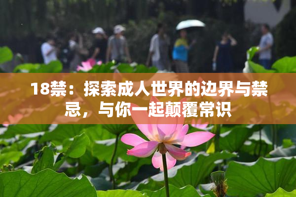 18禁：探索成人世界的边界与禁忌，与你一起颠覆常识