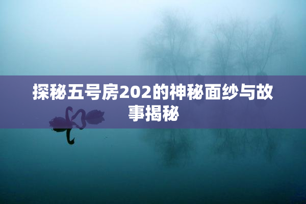 探秘五号房202的神秘面纱与故事揭秘