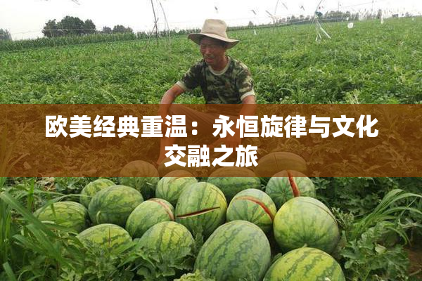 欧美经典重温：永恒旋律与文化交融之旅