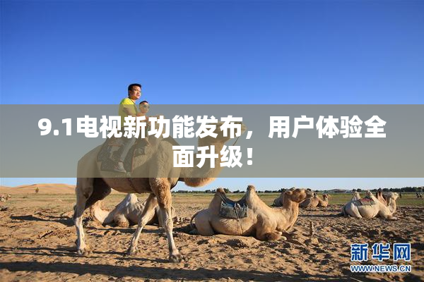 9.1电视新功能发布，用户体验全面升级！