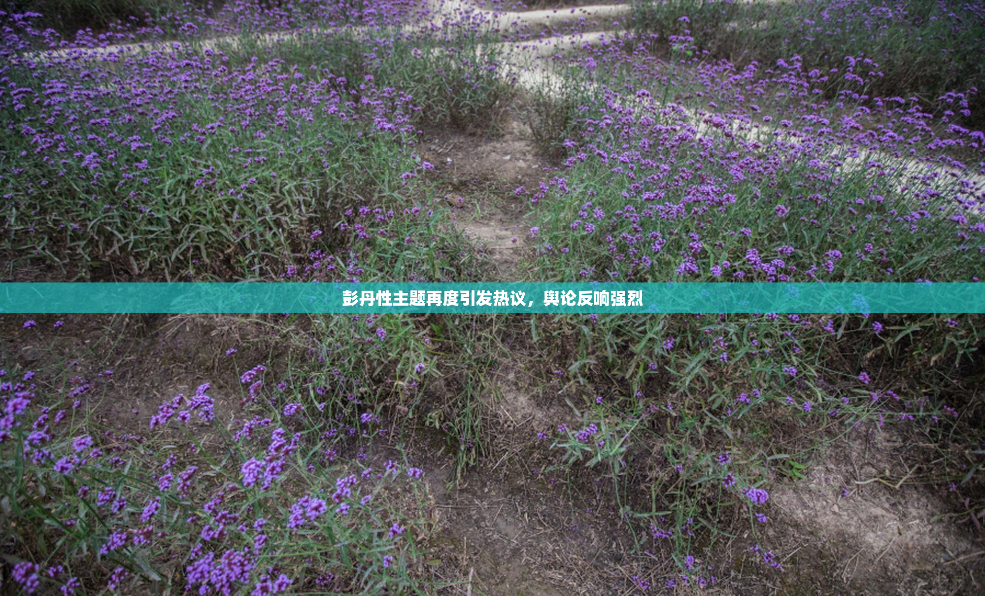 彭丹性主题再度引发热议，舆论反响强烈