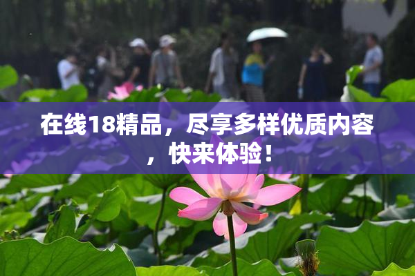 在线18精品，尽享多样优质内容，快来体验！