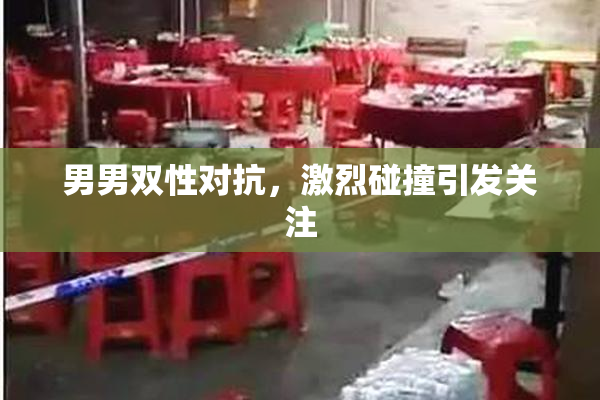 男男双性对抗，激烈碰撞引发关注