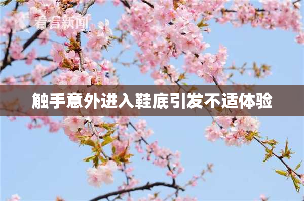 触手意外进入鞋底引发不适体验