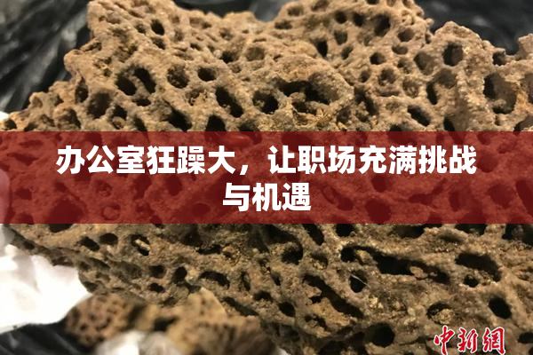 办公室狂躁大，让职场充满挑战与机遇