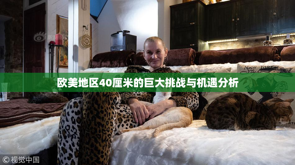 欧美地区40厘米的巨大挑战与机遇分析