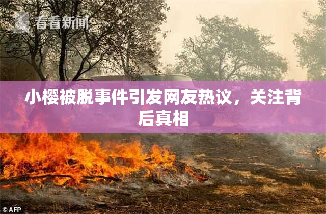 小樱被脱事件引发网友热议，关注背后真相
