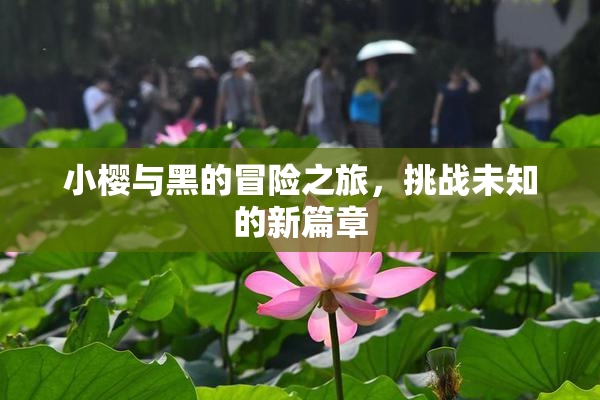 小樱与黑的冒险之旅，挑战未知的新篇章