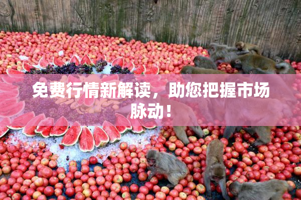免费行情新解读，助您把握市场脉动！