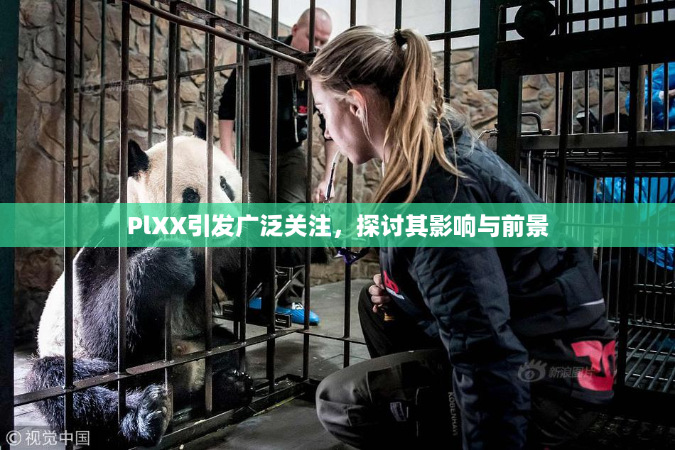 PlXX引发广泛关注，探讨其影响与前景